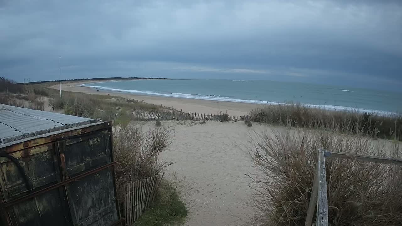 A sandy beach with gentle waves under a cloudy sky is viewed from behind a weathered wooden structure and sparse, dry vegetation.