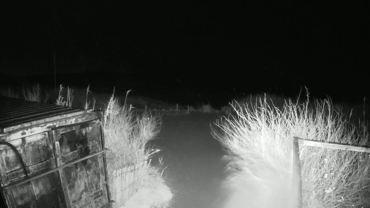 A dark, snowy nighttime scene shows a large metal container next to a snow-covered path bordered by brush and a fence.