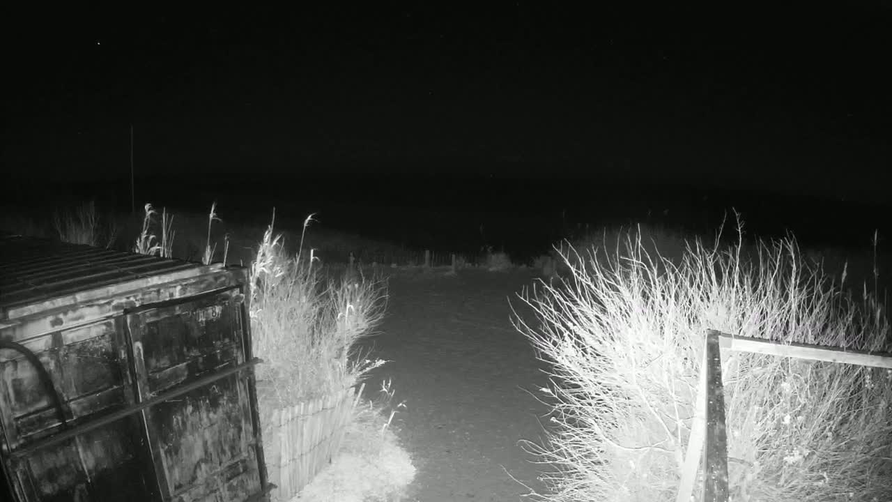 A dark, nighttime scene shows a large metal container next to a gated path lined with sparse, shrubby vegetation leading to a dark horizon.