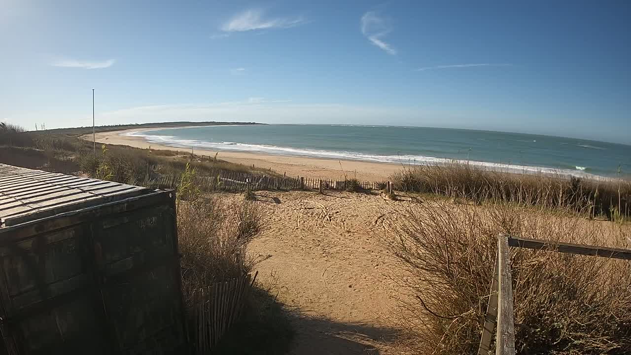 A sandy beach with gentle waves under a clear blue sky is partially obscured by dried beach grass and a dark green shipping container.