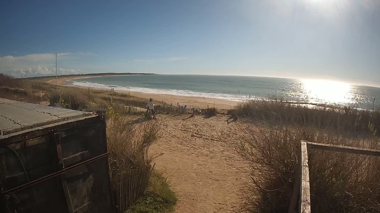 A sandy beach with gentle waves under a bright, sunny sky is seen from behind a weathered dark container, with sparse vegetation between the viewer and the ocean.