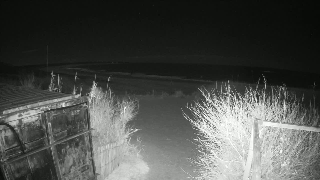A dark, nighttime scene shows a metal container near some bare bushes and a fence, overlooking a flat, dark expanse that appears to be a body of water under a clear, starry sky.