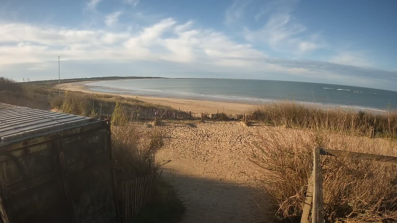 A sandy beach stretches to a calm ocean under a partly cloudy sky, viewed from behind a weathered shipping container and dune grasses.