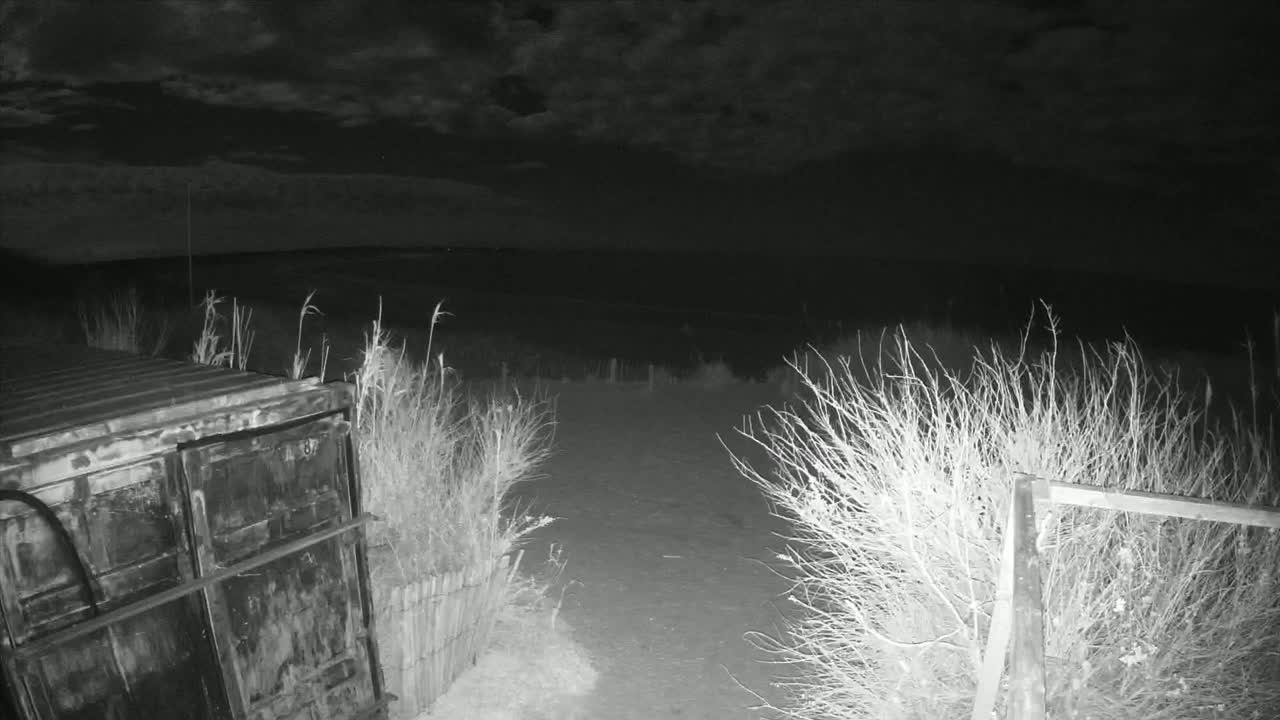 A dark, nighttime scene shows a rusty metal container next to a dirt path bordered by sparse, dry brush under a cloudy sky.