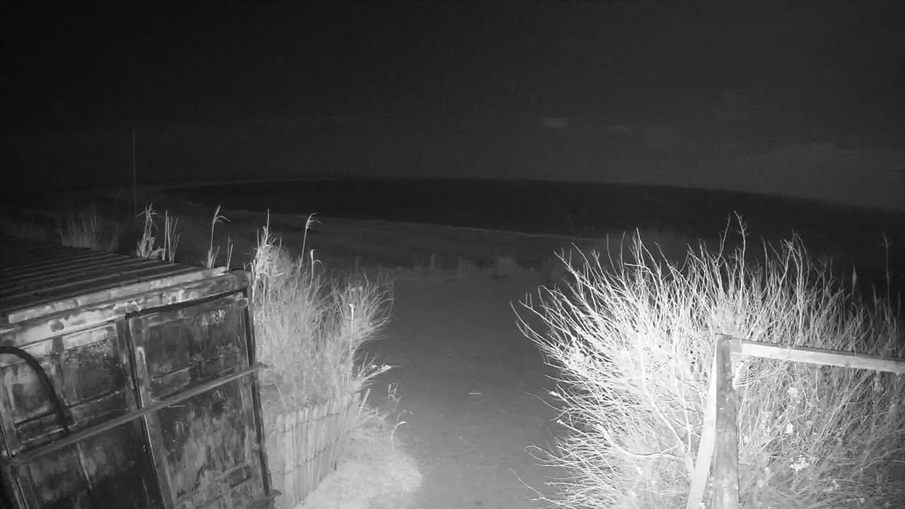 A nighttime, low-light view shows a dark body of water in the distance beyond a patch of sparse, dry brush and a metal container.