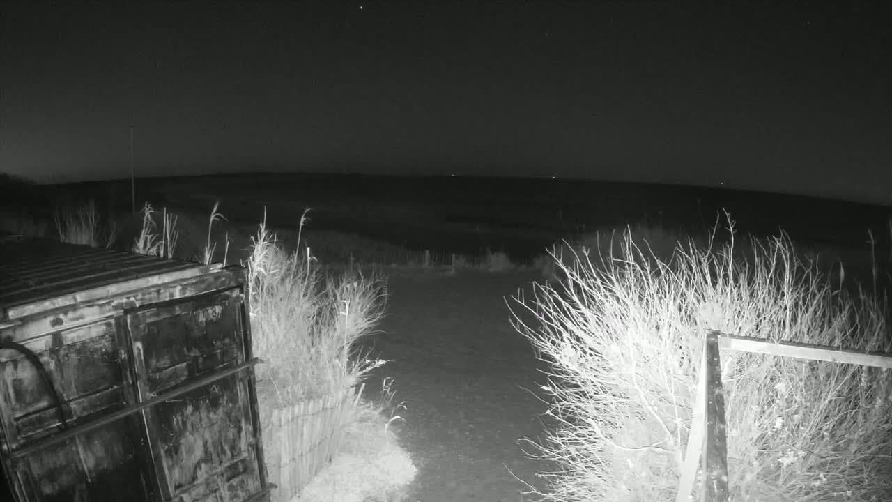 A dark metal container sits near a dirt path bordered by leafless shrubs under a clear night sky.