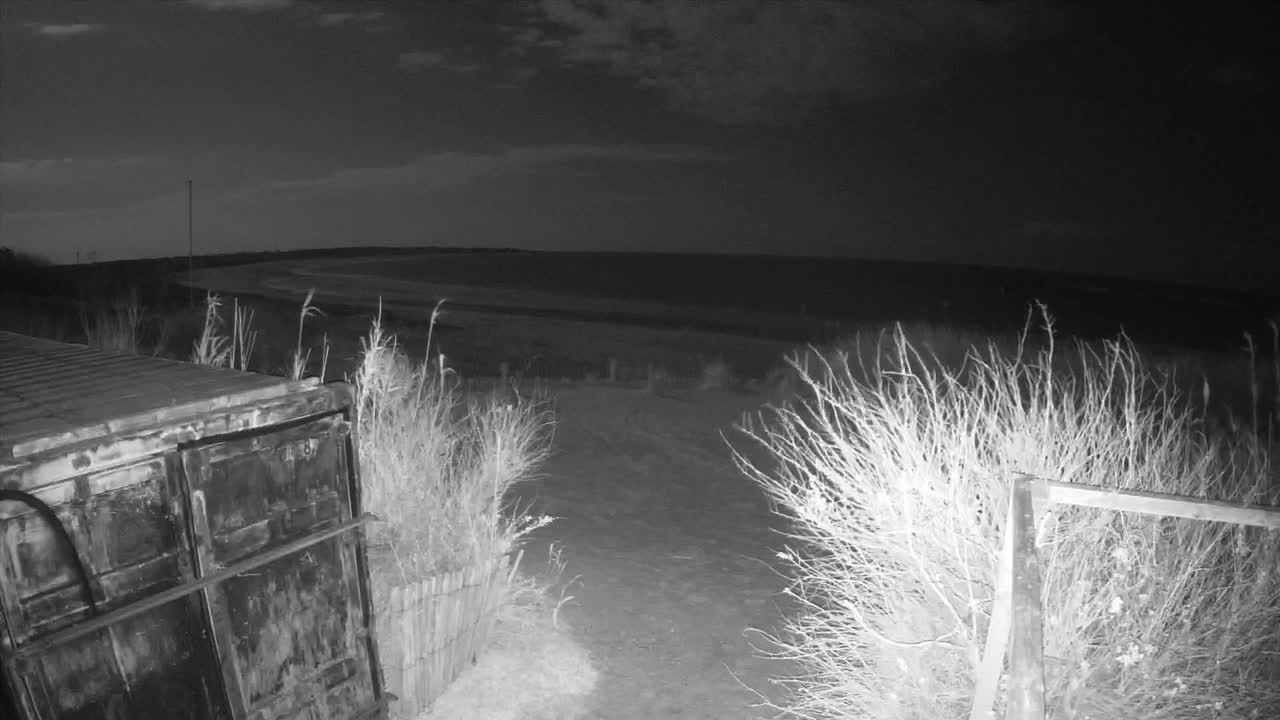 A dark, nighttime scene shows a metal container near a path leading to a beach under a cloudy sky.