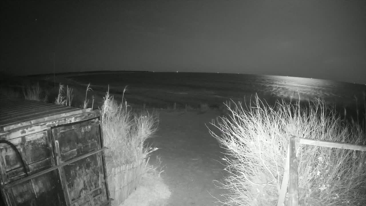 A nighttime view shows a dark, calm body of water under a mostly clear sky, partially obscured by shrubs and a metal container in the foreground.
