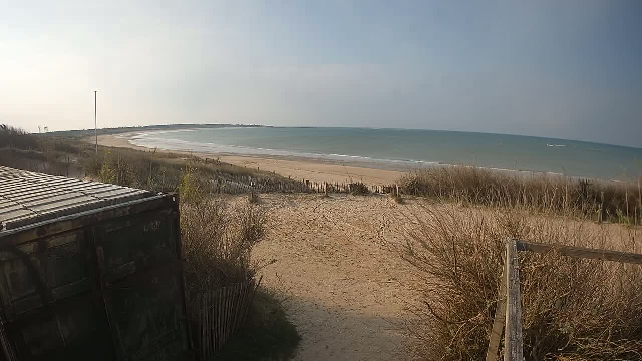 A sandy beach with calm ocean waves is viewed from behind a weathered shipping container and sand dunes on a sunny day.