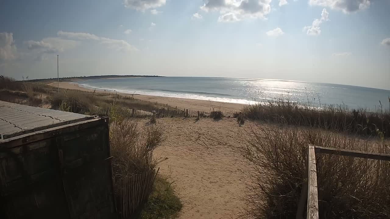 A sandy beach with a calm ocean under a mostly sunny sky is seen from behind a weathered container and wooden fence.