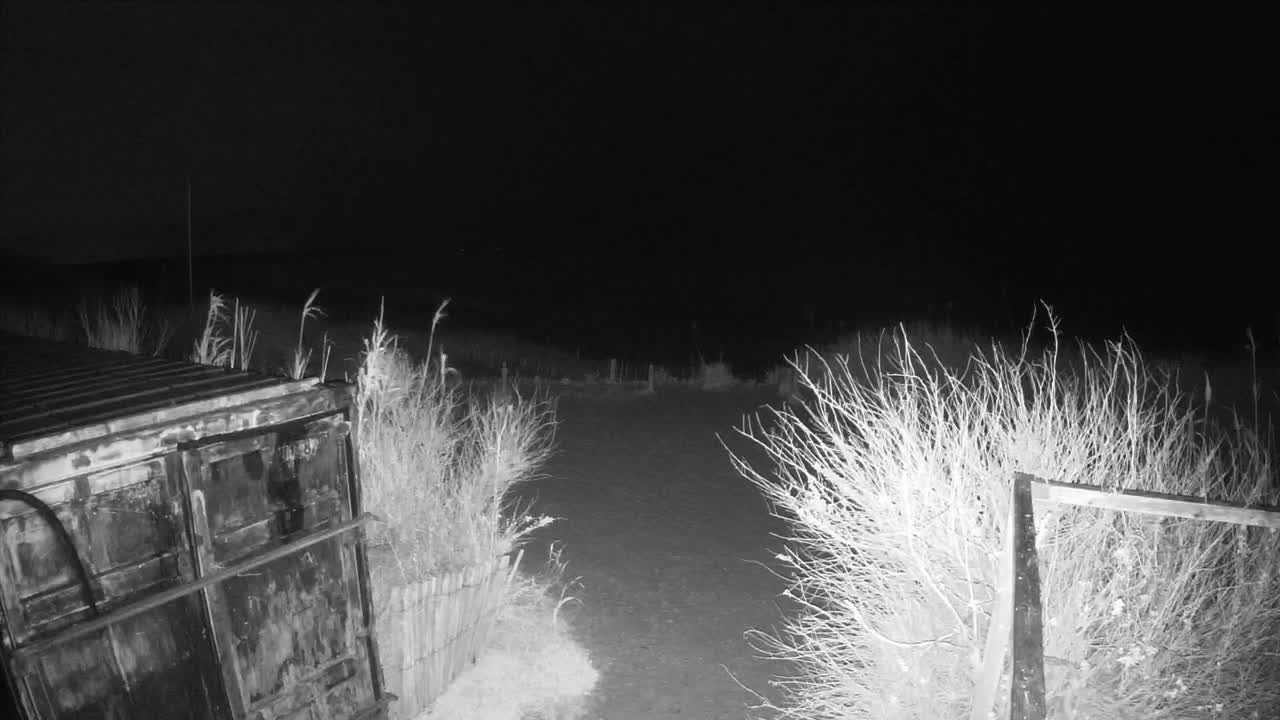 A dark, nighttime scene shows a large metal container next to a dirt path bordered by shrubs and a small fence.