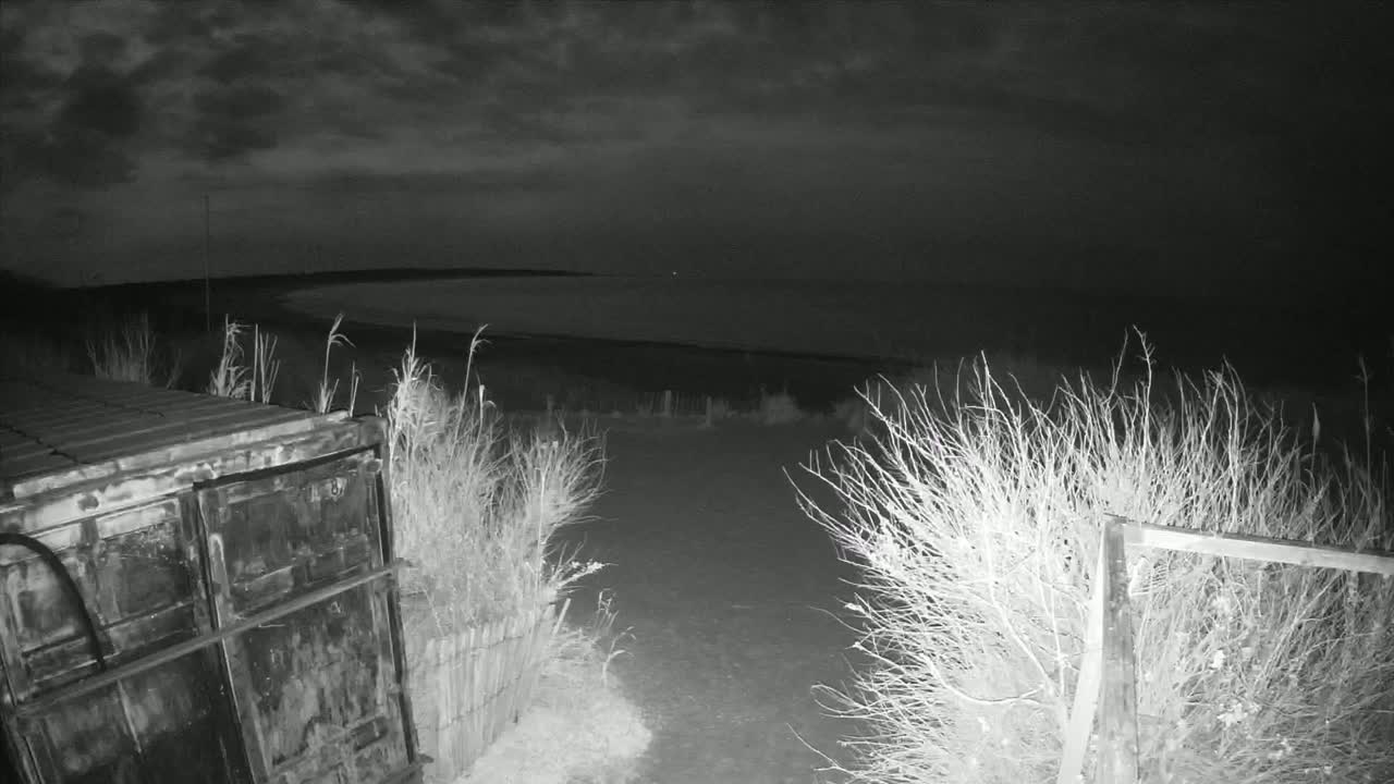 A dark, nighttime scene shows a metal container next to vegetation, with a view of a calm body of water under a cloudy sky in the distance.