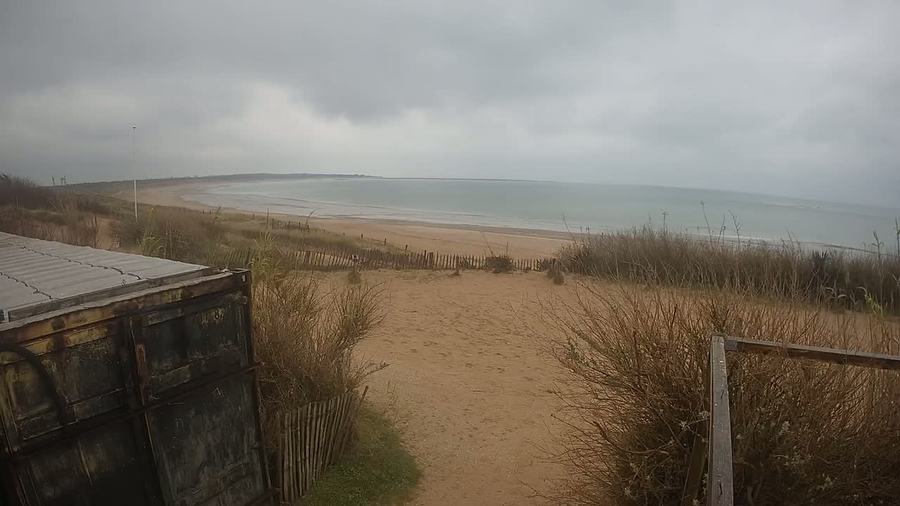 A sandy beach stretches to a calm, gray sea under an overcast sky, viewed from behind a weathered container and dune vegetation.