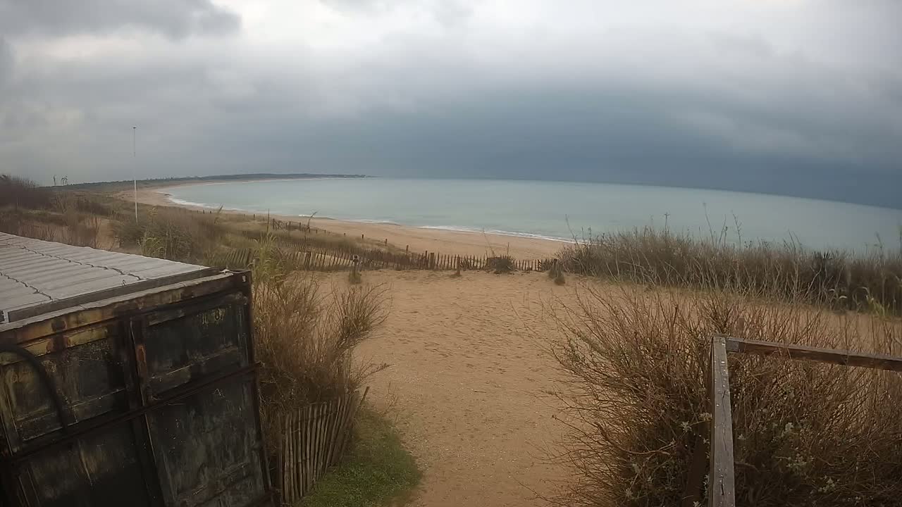 A sandy beach with calm, light-blue water under a cloudy, overcast sky is partially obscured by dry, brown shrubs and a weathered metal container.