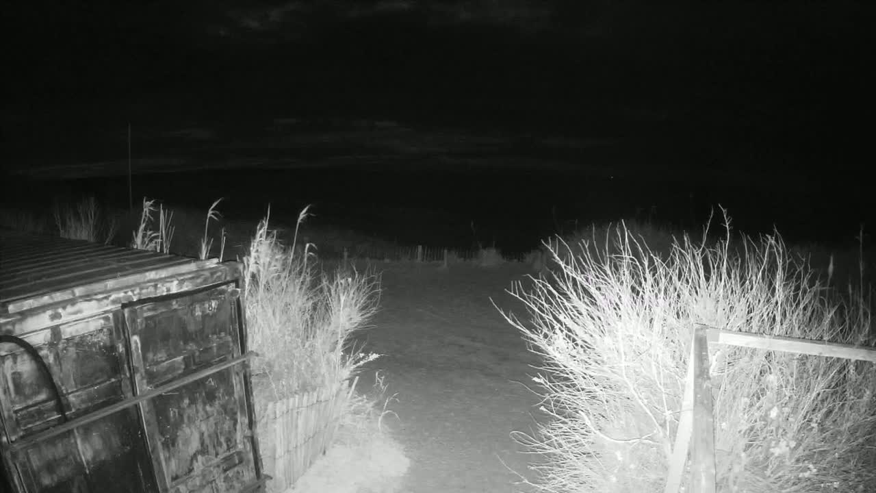A dark, nighttime scene shows a metal container next to a snow-covered path bordered by sparse vegetation under a cloudy sky.