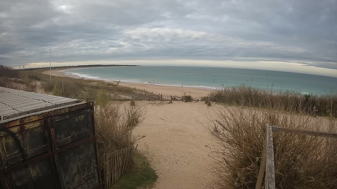 A sandy beach with gentle waves under a cloudy sky is viewed from behind a rusty container holding stacked blocks, partially obscured by dune grasses.