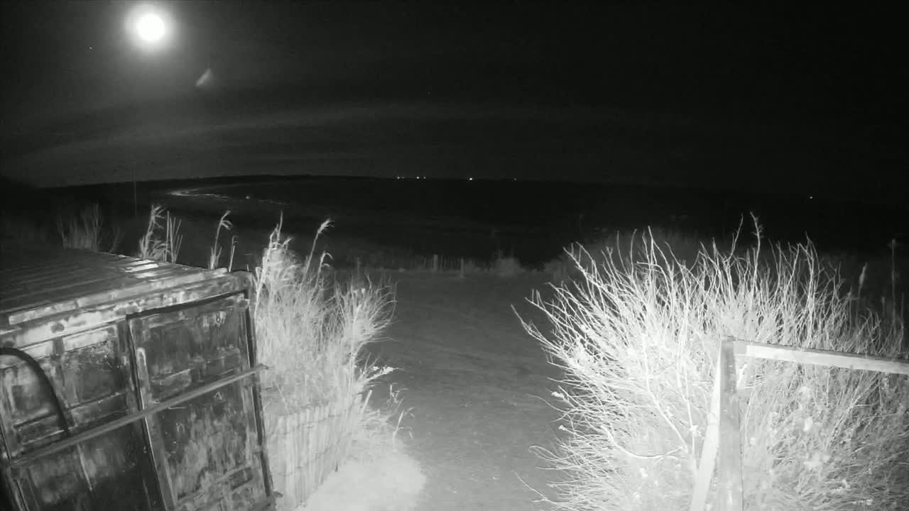 A large metal container sits near a snow-covered path under a bright moonlit night sky.