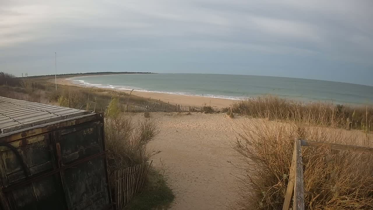 A sandy beach with gentle waves under a cloudy sky is partially obscured by dried beach grass and a rusty shipping container.
