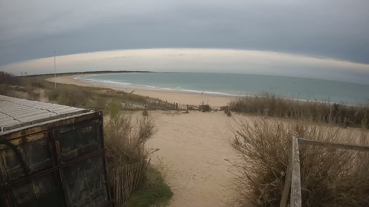 A sandy beach with a calm sea under an overcast sky is partially obscured by overgrown vegetation and a large metal container.