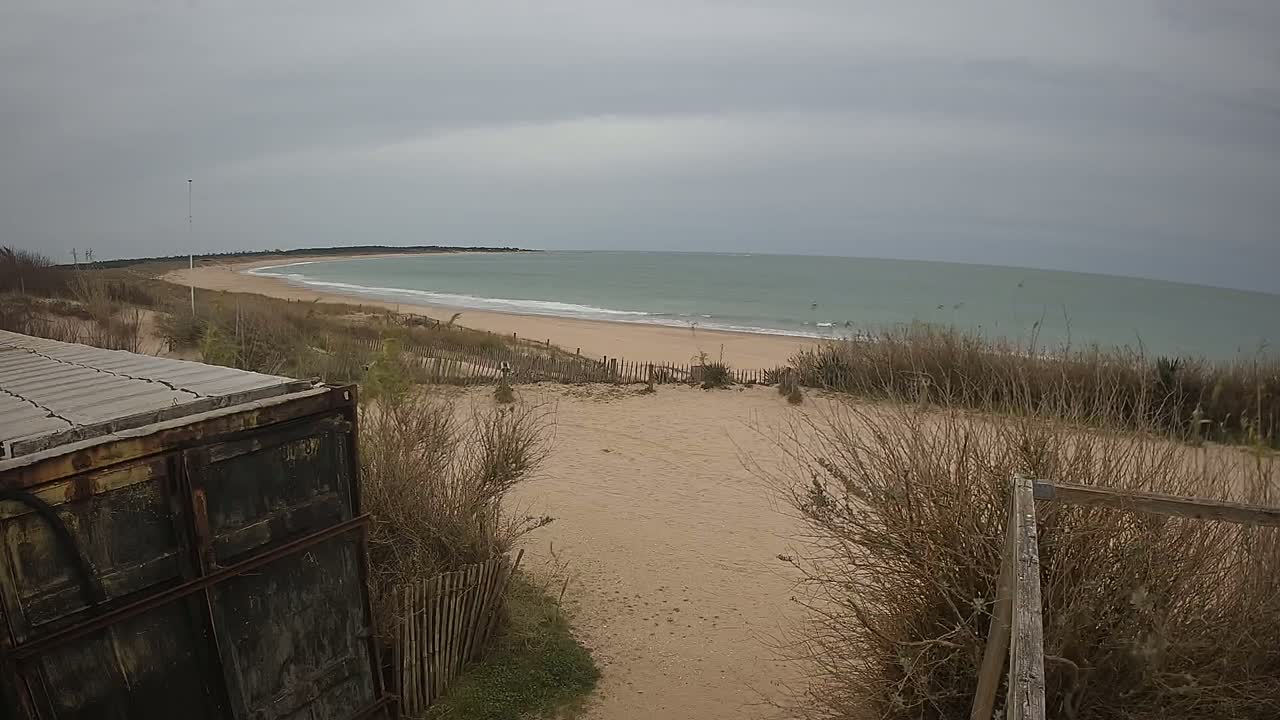 A sandy beach with calm, greenish-grey water under an overcast sky is viewed from behind a weathered container and dune grasses.
