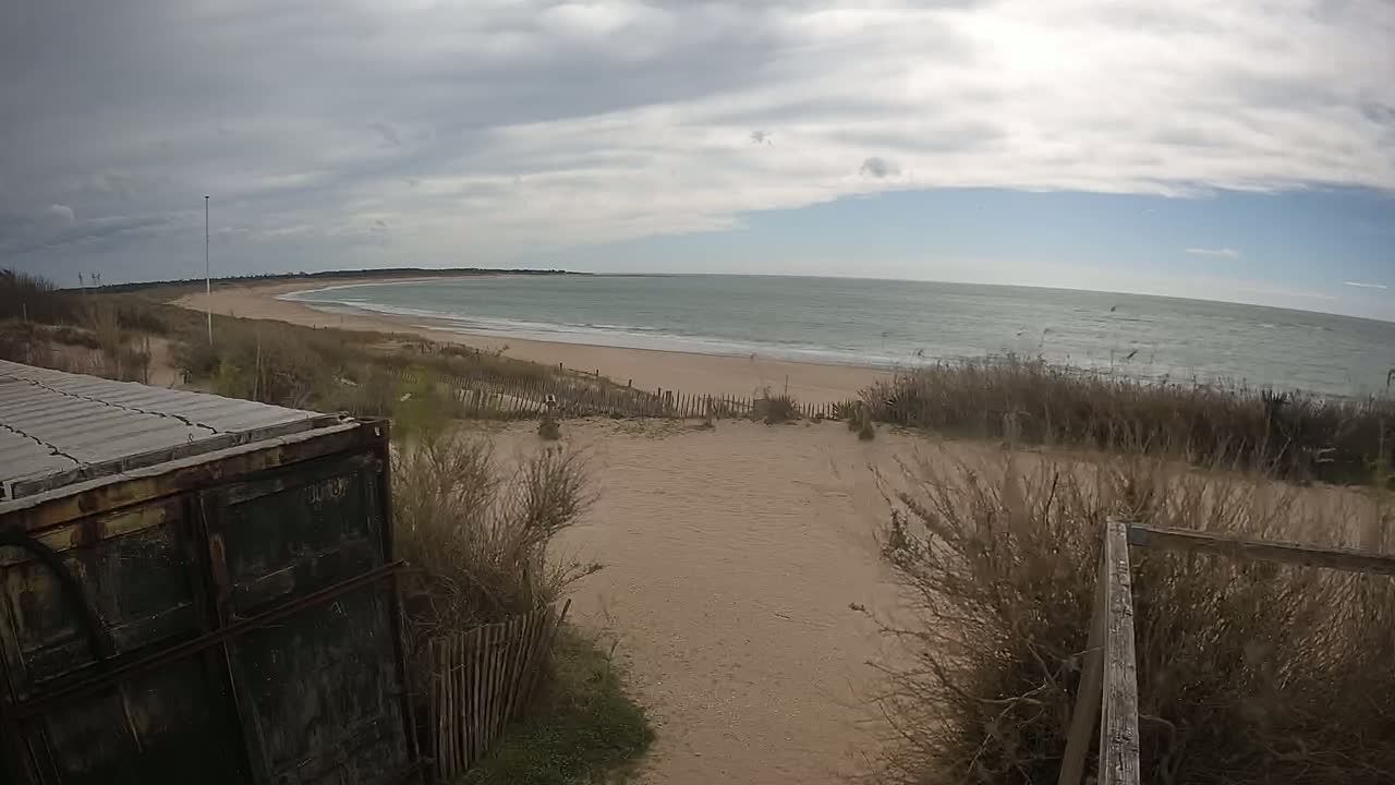 A sandy beach with a calm ocean under a cloudy sky is viewed from behind a weathered metal container partially obscured by dune grasses and a wooden fence.
