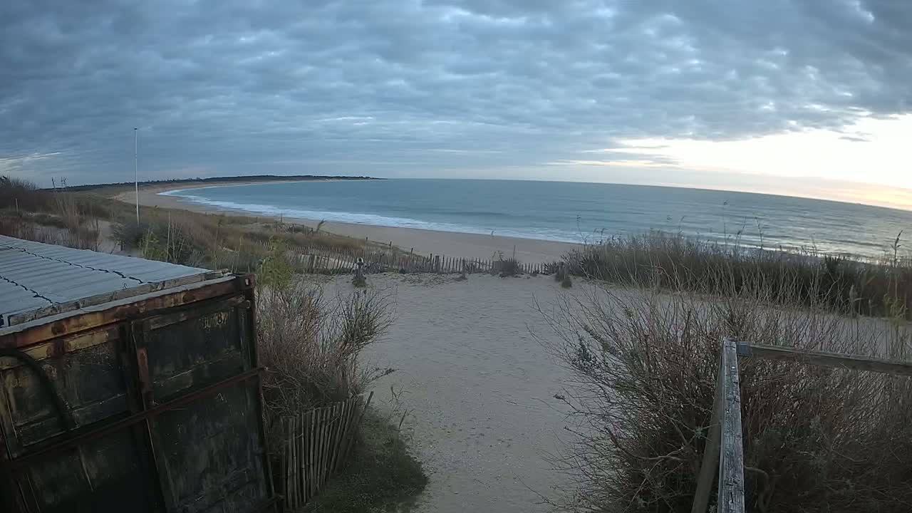 An overcast sky looms over a sandy beach with gentle waves and sparse vegetation, a weathered container sits in the foreground.