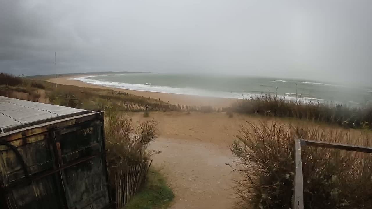 A storm-swept beach with choppy waves is visible from a dune overlooking a sandy path, partially obscured by overgrown vegetation and a weathered container.