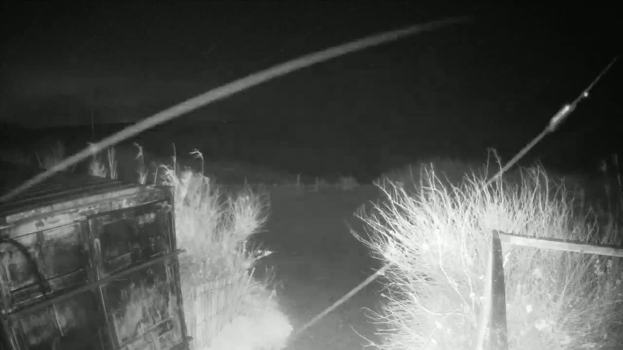A dark metal container sits partially obscured by tall, dry-looking vegetation under a night sky.