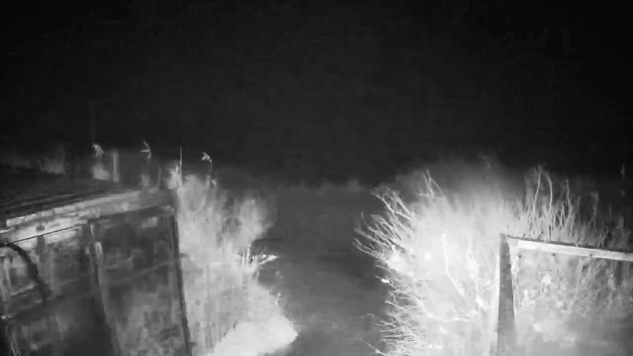 A nighttime, low-light image shows a dark structure, possibly a vehicle or container, partially obscured by vegetation on either side of a dark pathway or driveway.