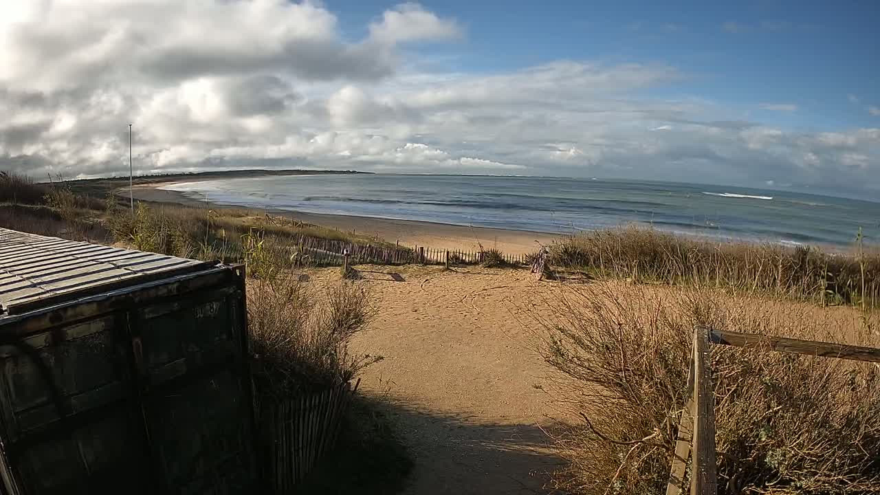 A partly cloudy day reveals a sandy beach with gentle waves lapping the shore, viewed from behind a weathered shipping container and dune grasses.