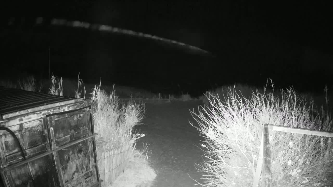 A dark, nighttime scene shows a metal container next to a dirt path bordered by bare bushes under a clear sky.