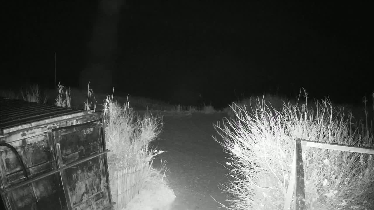 A dark, nighttime scene shows a metal container next to a dirt path bordered by shrubs and a section of fence.