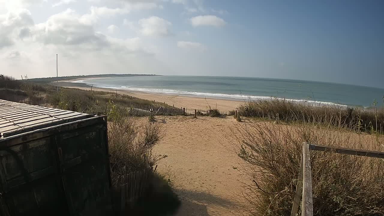 A sandy beach with gentle waves under a partly cloudy sky is viewed from behind a weathered metal container and dune vegetation.