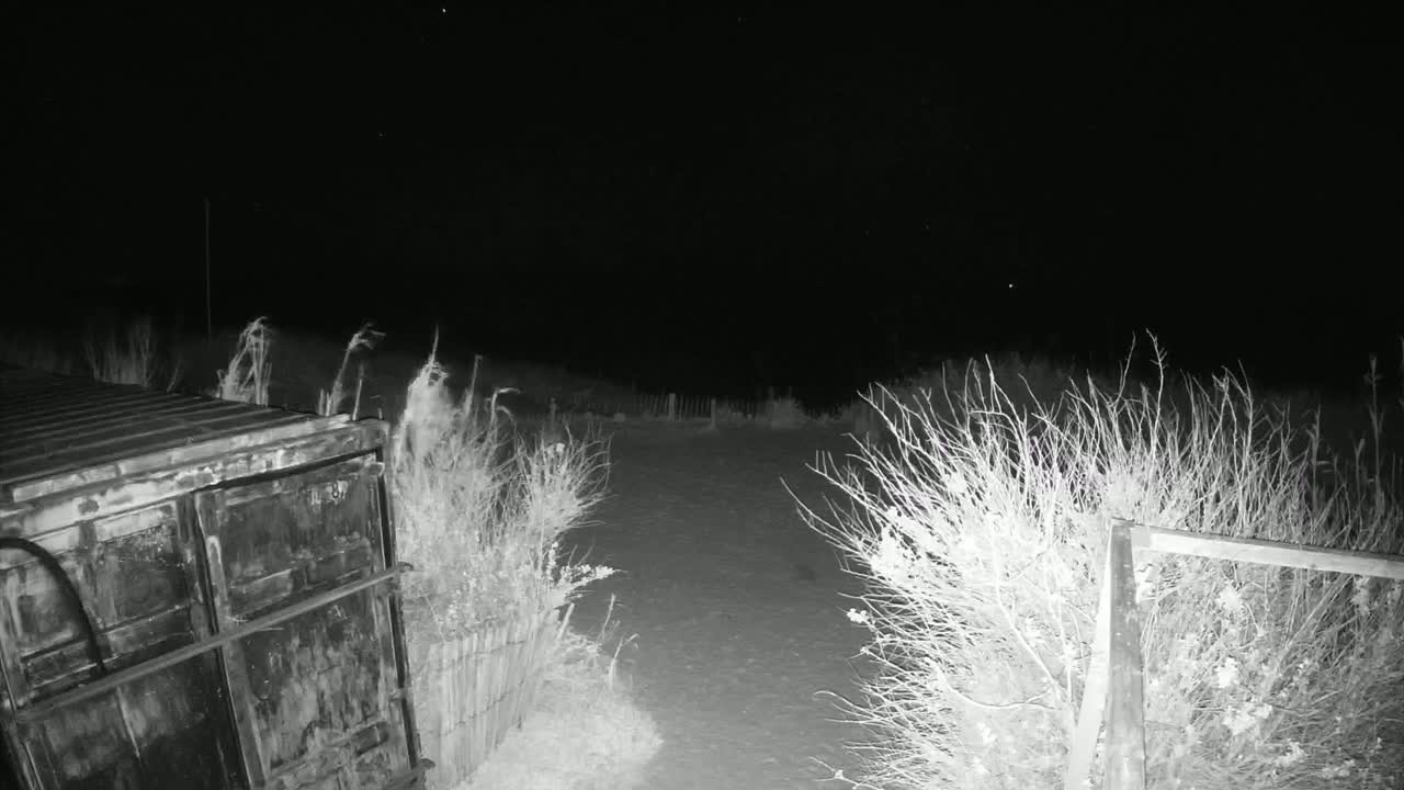 A dark, nighttime scene shows a metal container next to overgrown shrubs and a short fence bordering a snowy or light-colored ground.
