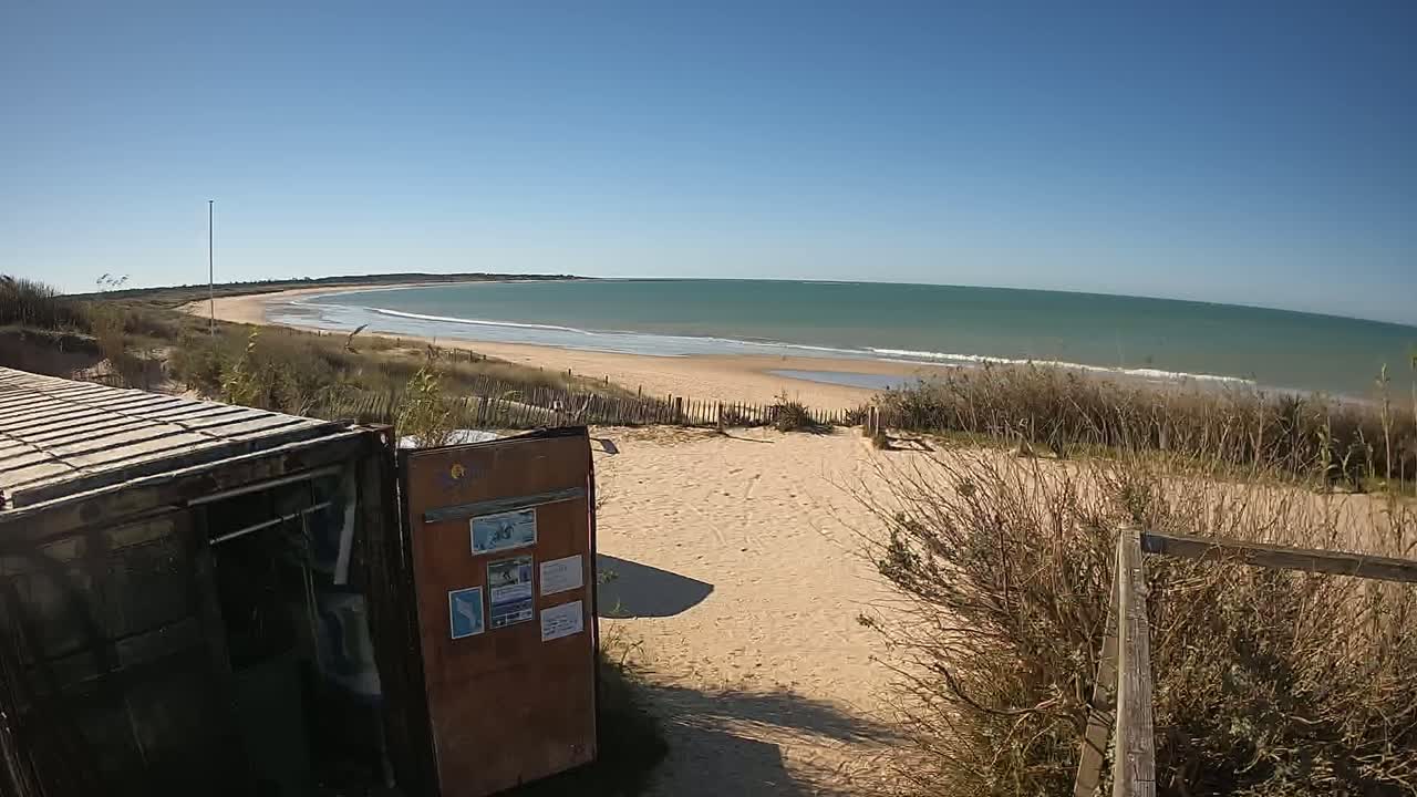 A sandy beach with calm, teal water stretches out under a clear blue sky, viewed from behind a weathered shipping container and dune grasses.