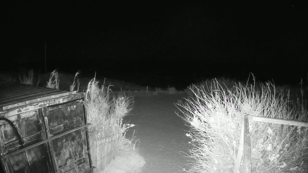A dark, nighttime scene shows a metal container next to a dirt path bordered by sparse, dry-looking shrubs under a clear, starlit sky.