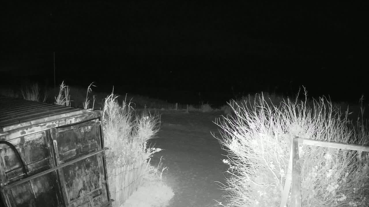 A dark, nighttime scene shows a metal container partially visible next to a dirt path bordered by shrubs and a short fence.