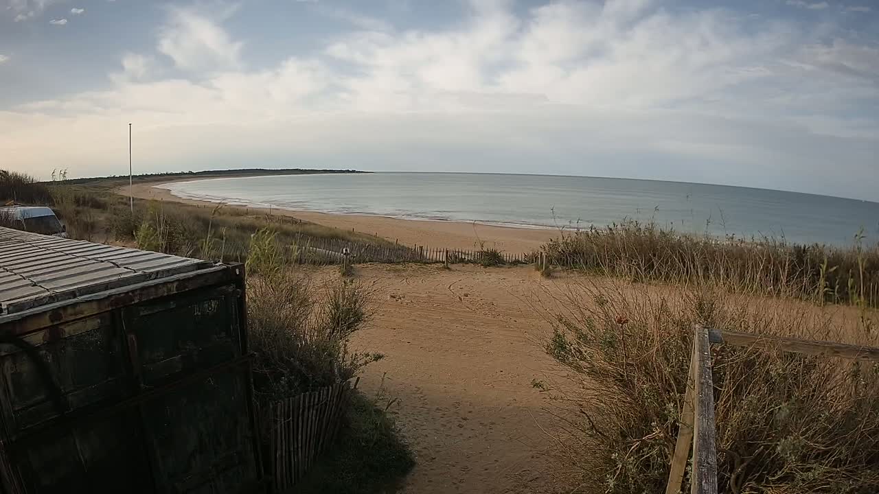 A sandy beach with calm, light-grey water extends to a horizon under a cloudy sky, viewed from behind a weathered green container and dune vegetation.