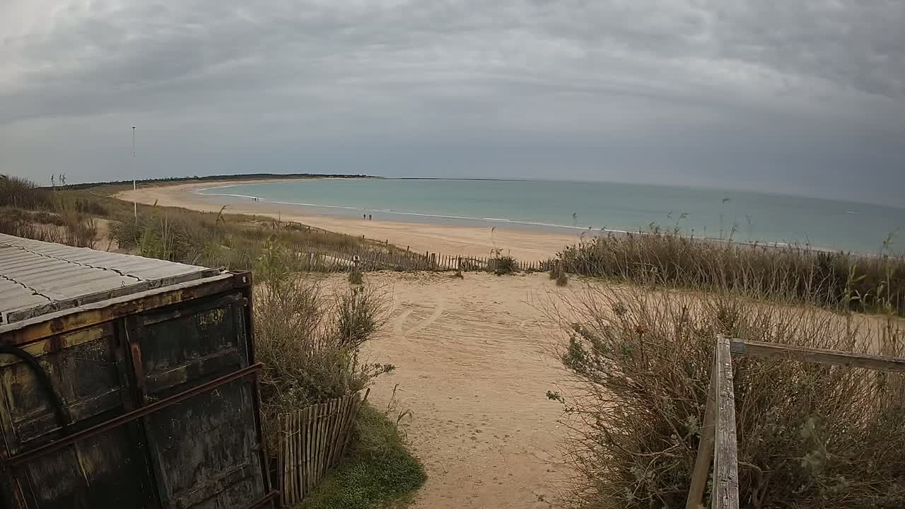 A sandy beach with calm, light-blue water stretches out under a cloudy sky, viewed from behind a weathered metal container and dune vegetation.