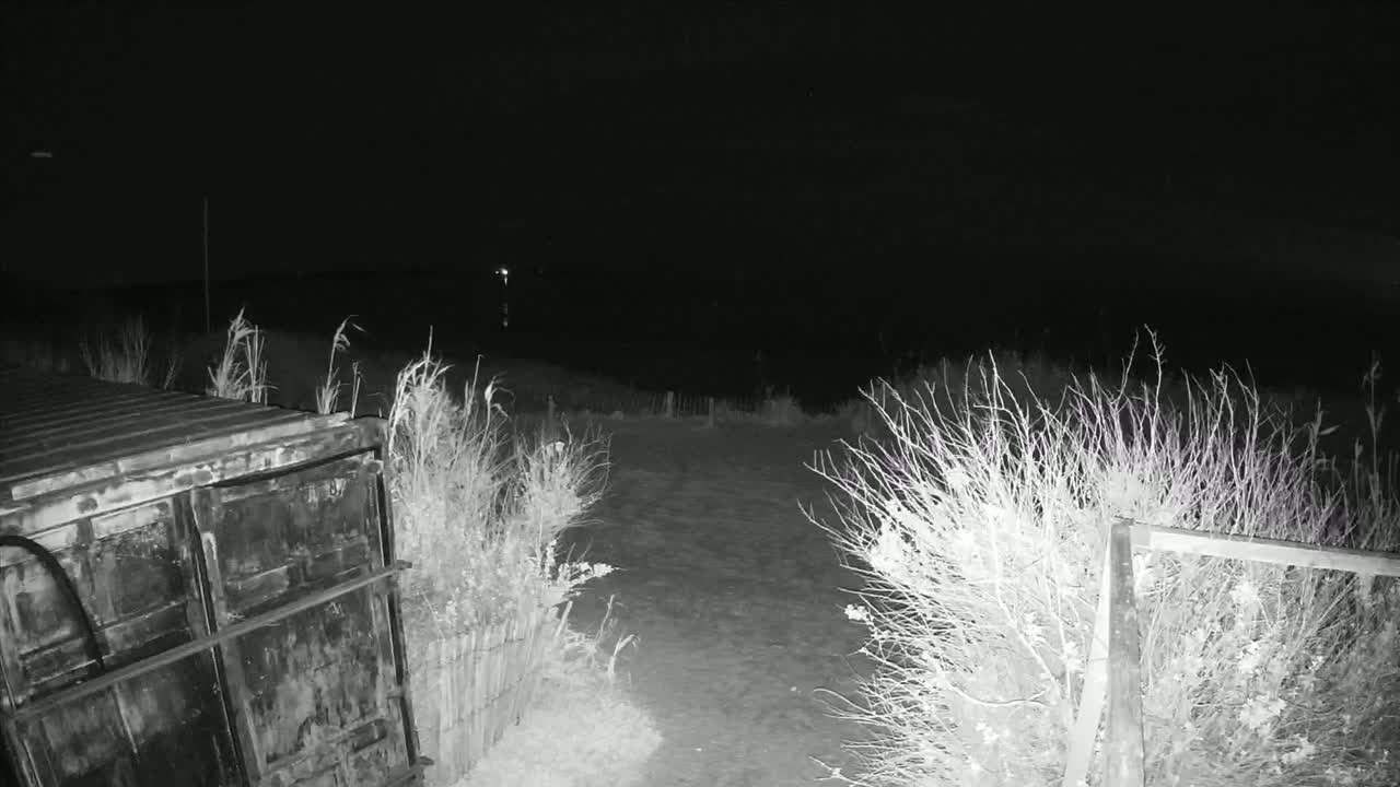 A nighttime, low-light image shows a dark metal container next to sparse, leafless vegetation leading to a dark, open area.