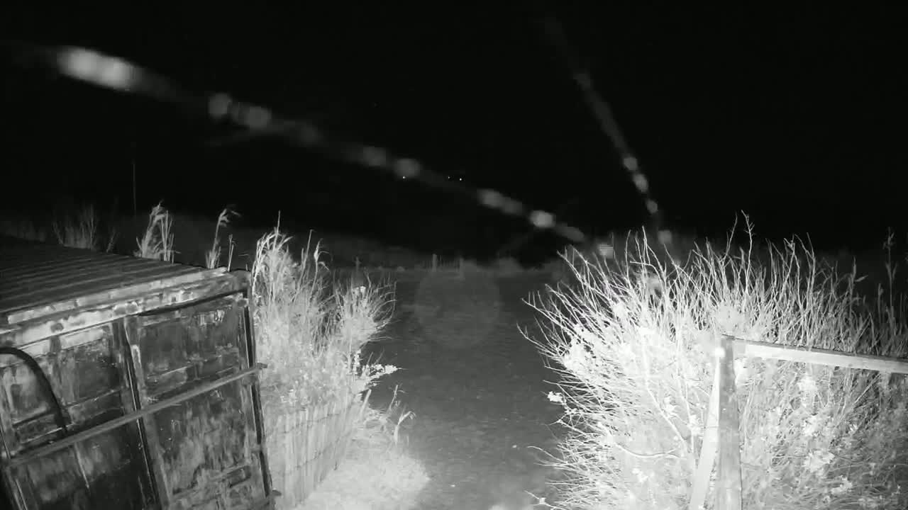 A dark, nighttime scene shows a dirt path flanked by shrubs leading to a metal container, under a clear, starlit sky.