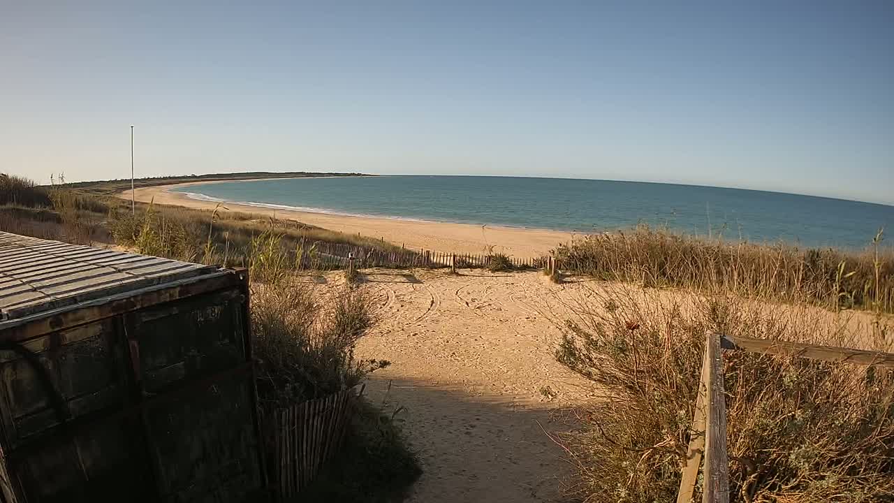 A sandy beach and calm ocean are seen from behind a weathered metal container and tall dune grasses under a clear, sunny sky.