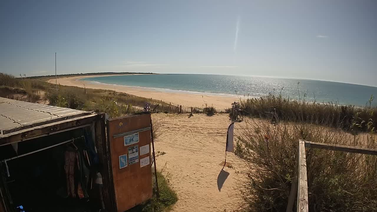 A sandy beach with calm, blue water stretches out under a clear, sunny sky, viewed from behind a weathered shipping container used as a storage unit near dune vegetation.