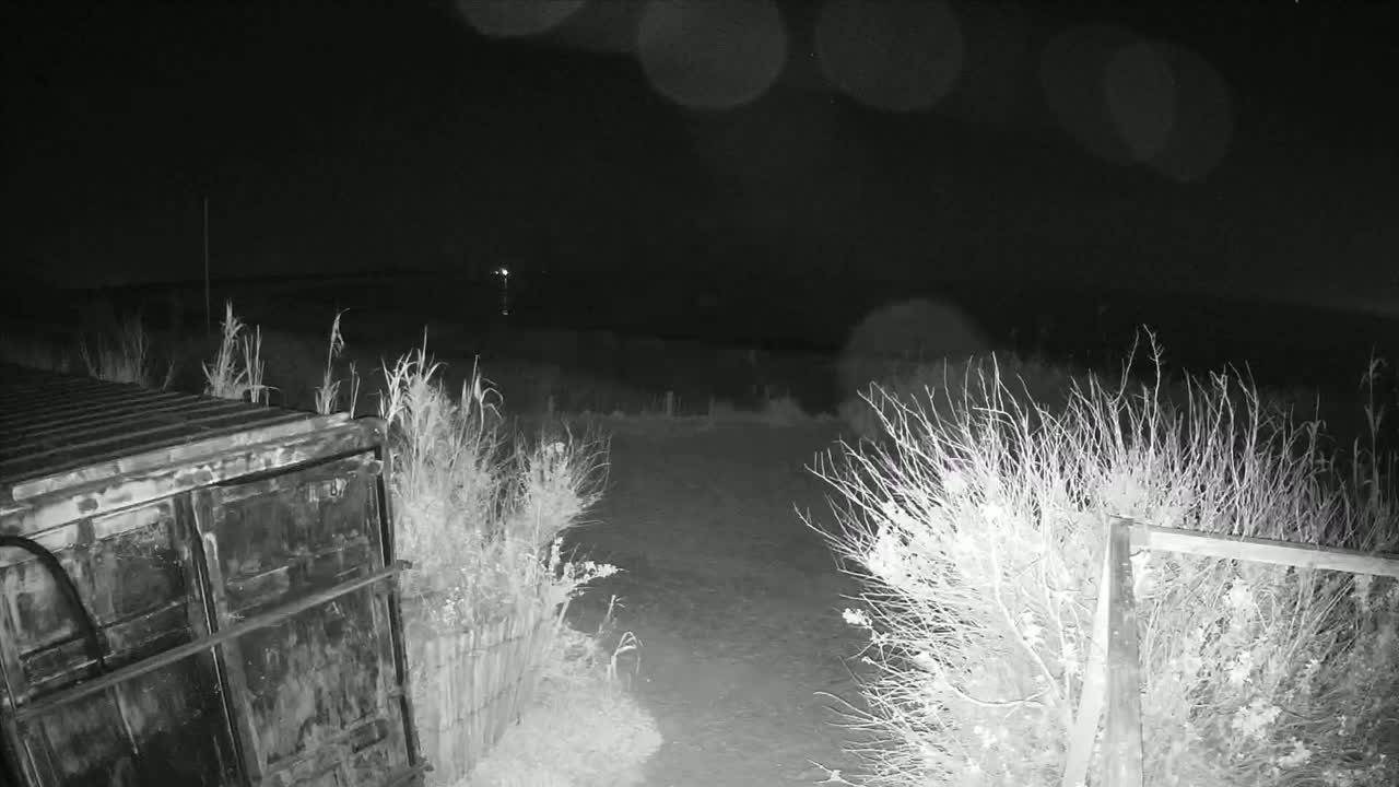 A nighttime, low-light image shows a dark metal container partially visible behind overgrown vegetation, with a dirt path leading to a dark, flat expanse beyond.