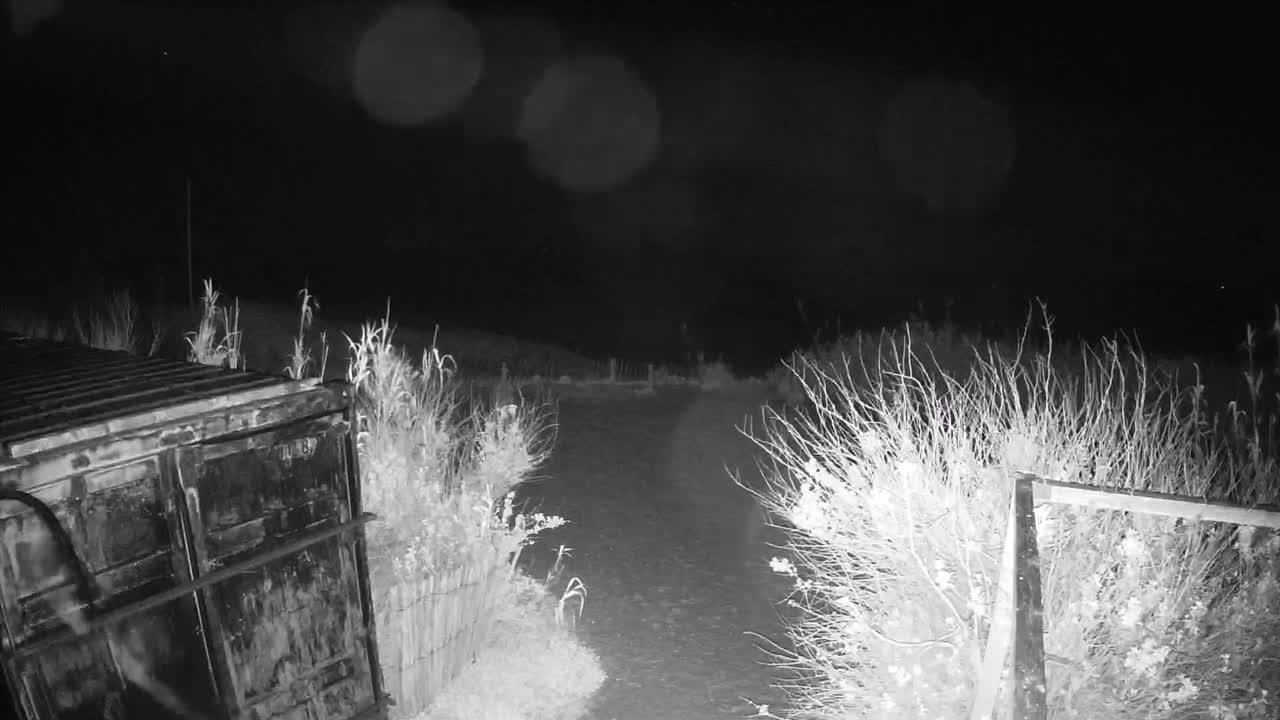 A nighttime, possibly rainy, low-light image shows a dark metal container next to a dirt path bordered by vegetation and a partially visible gate.