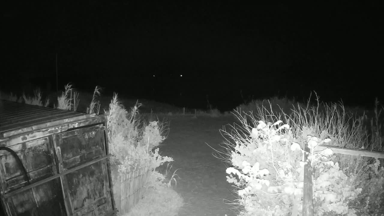 A dark, snowy nighttime scene shows a metal container and low-lying shrubs bordering a small, snow-covered clearing.