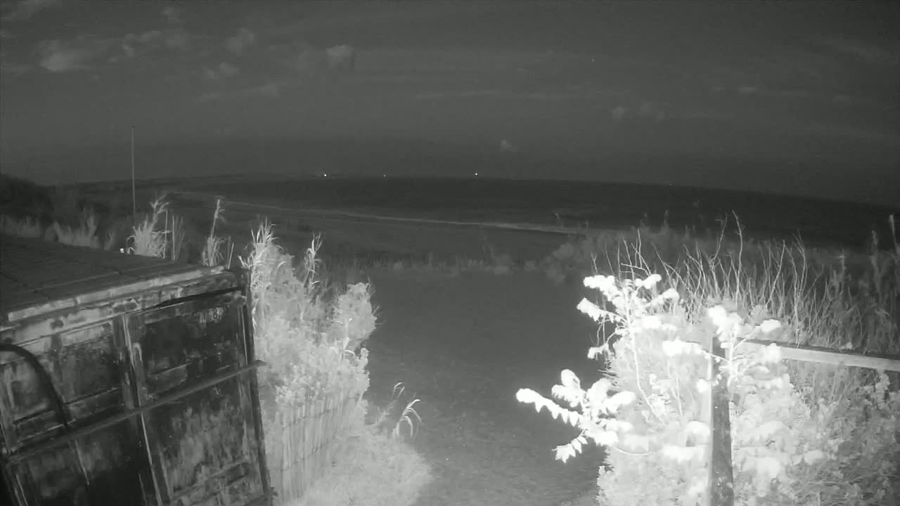 A dark, nighttime scene shows a metal container next to overgrown vegetation, overlooking a flat expanse of land under a mostly clear sky.