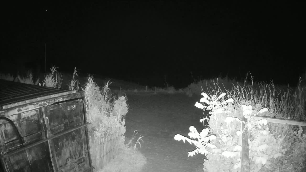 A dark metal container sits to the left of a snow-dusted, open area at night.