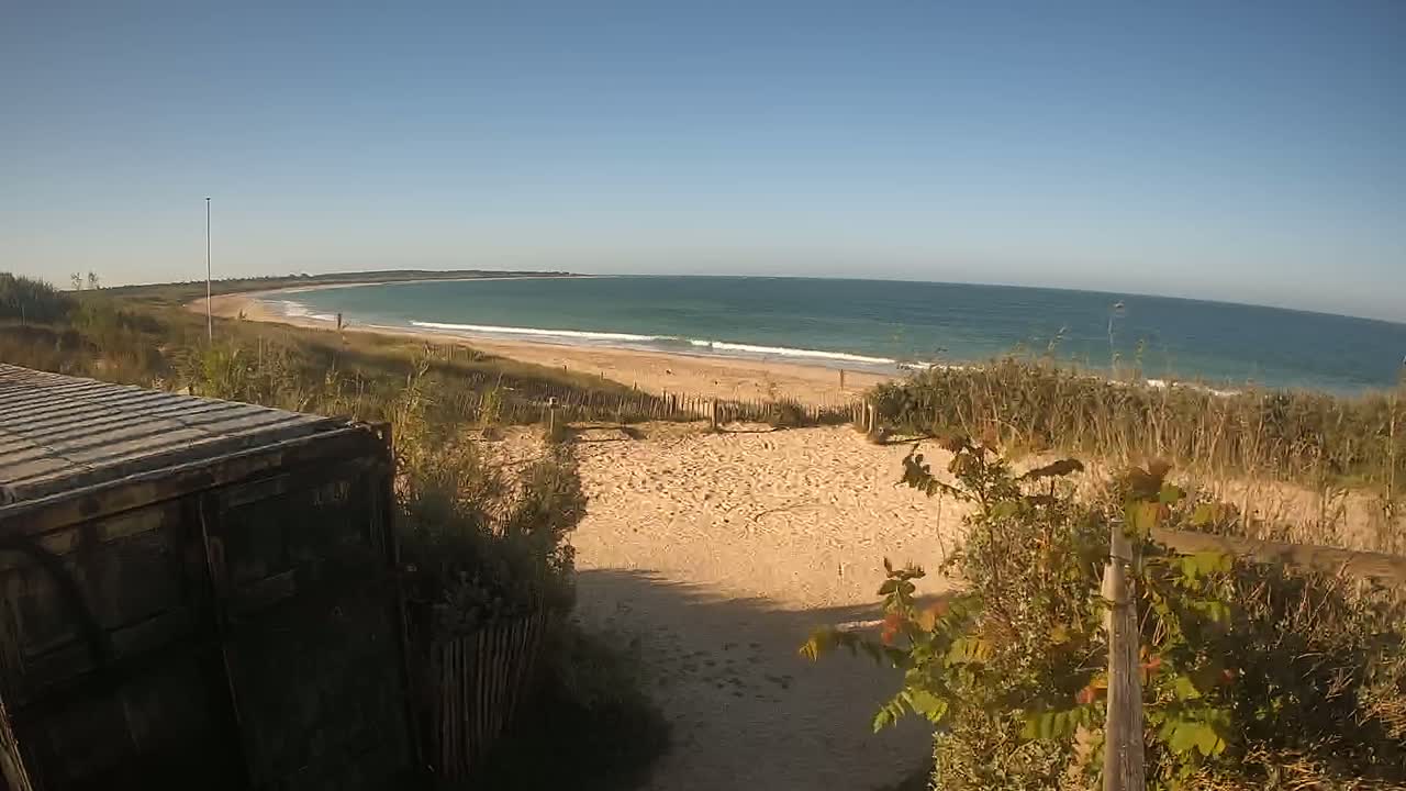 A sandy path leads to a beach with gentle waves under a clear blue sky.
