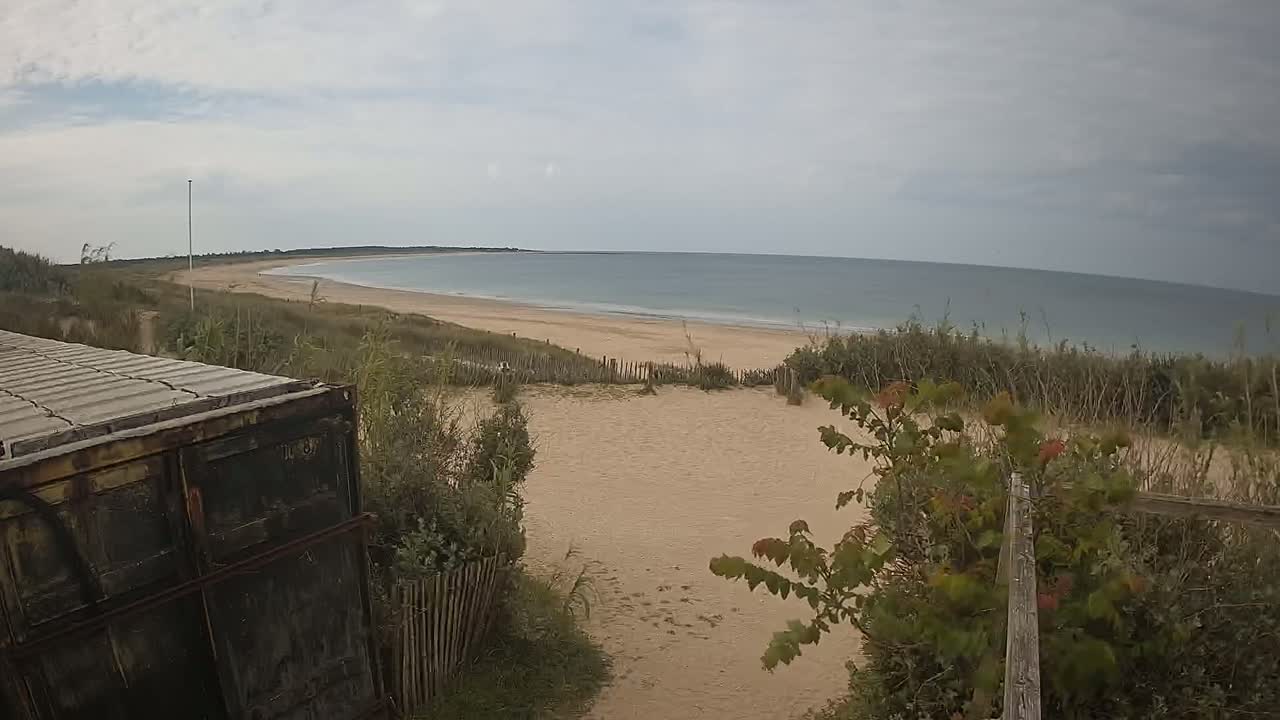 A sandy beach with calm, gray-blue water stretches to a distant shoreline under an overcast sky, partially obscured by vegetation and a rusty container in the foreground.